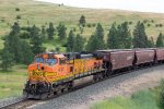 BNSF 4181